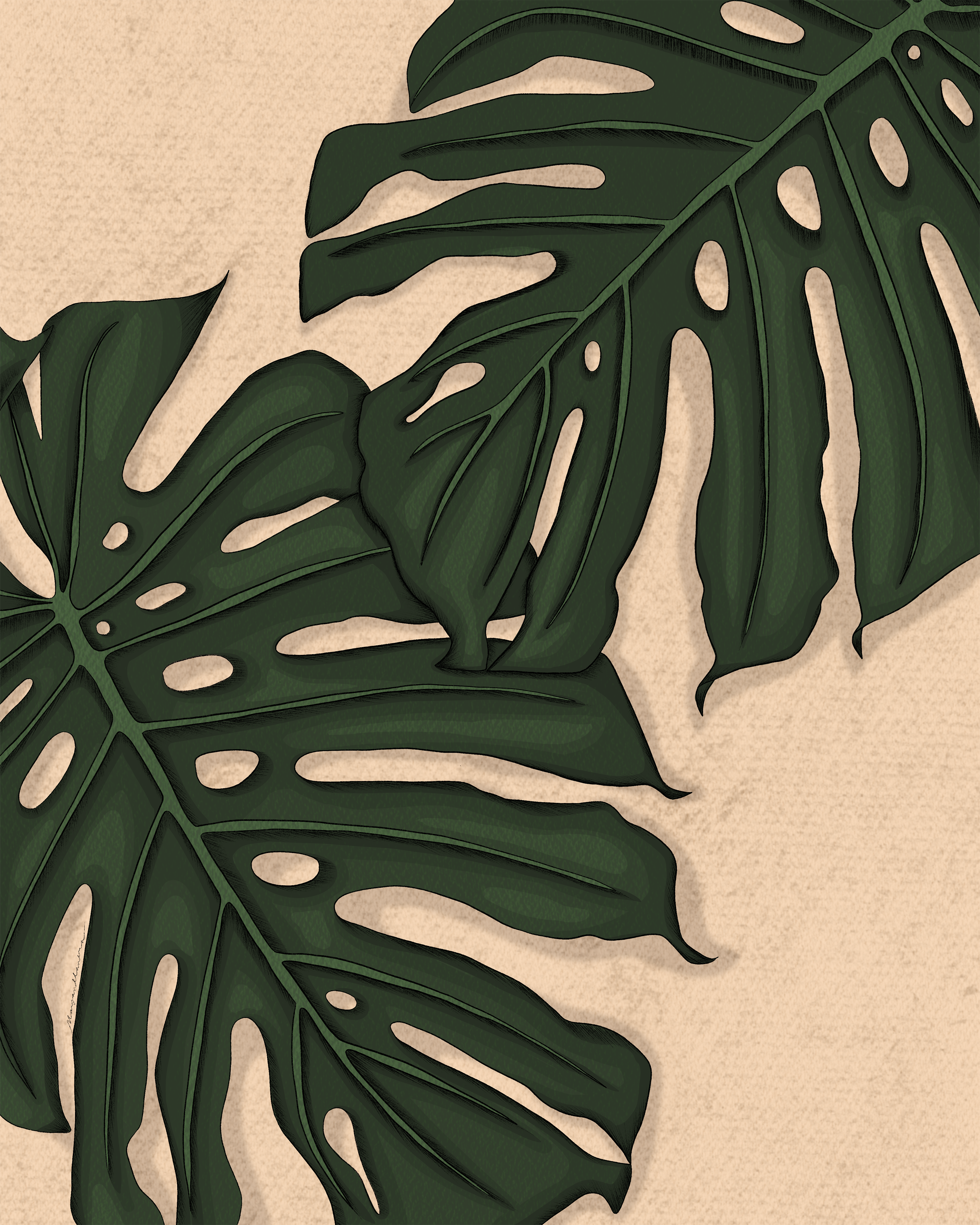 Monstera Deliciosa Art Print – Mayan Llanera Art & Design Co