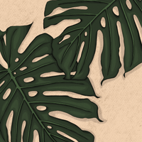 Monstera Deliciosa Art Print