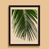 Palm Leaf Art Print