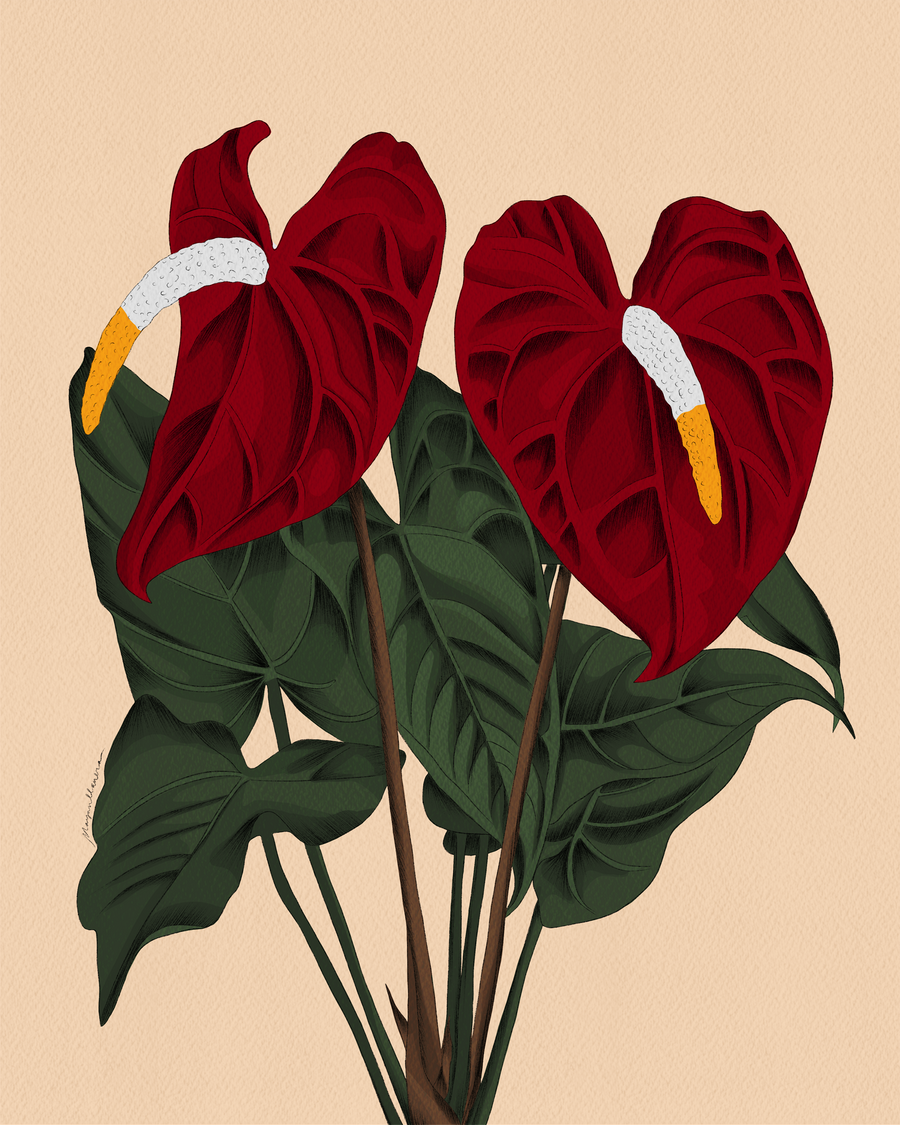 anthurium art Anthurium Exclusive Art Print – Mayan Llanera Art & Design Co