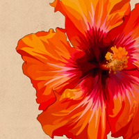 Hibiscus Love Art Print